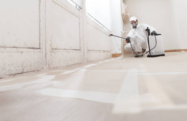24/7 Emergency Mold Testing experts in Jeffersonton, VA