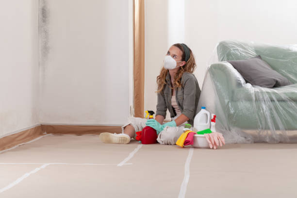 Reliable Mold Testing contractor in Jeffersonton, VA by WQB Mold Removal