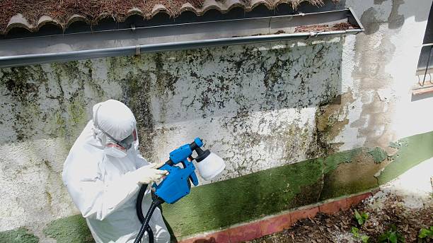 Top rated local Mold Testing specialists in Jeffersonton, VA